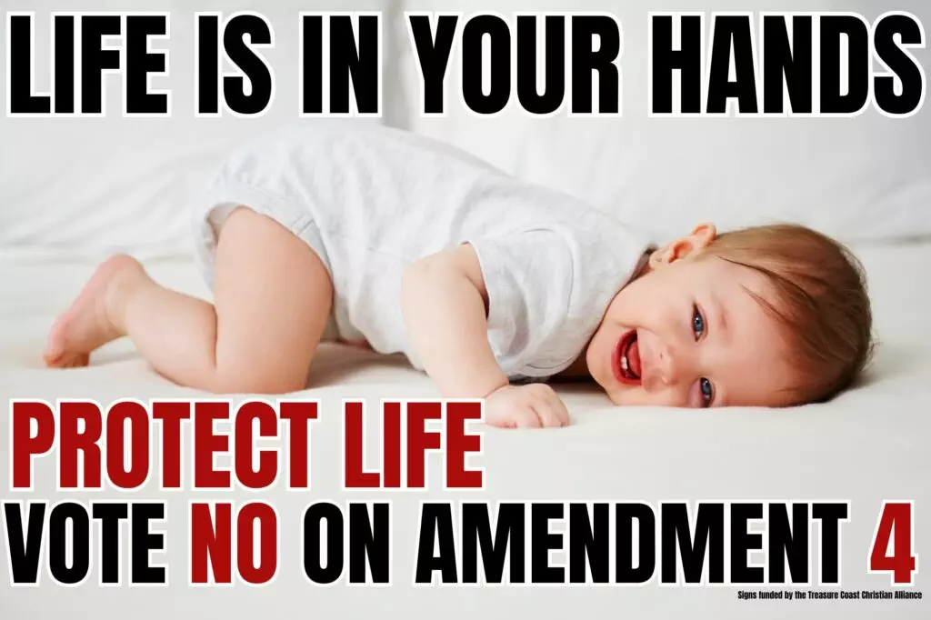 Amendment Poster #1 - baby lying down-vote no amendment 4-life is in you hands