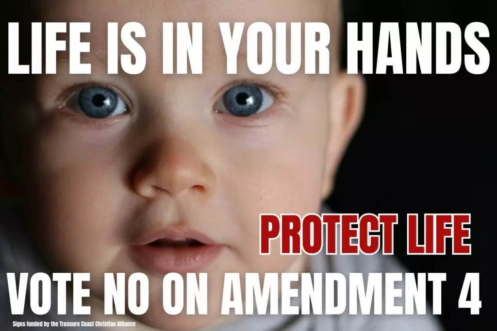 Amendment 4 Poster #2 -full baby face down-vote no amendment 4-life is in you hands