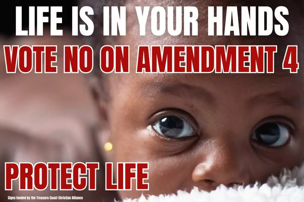 Amendment 4 Poster #3 -black baby face-vote no amendment 4-life is in you hands
